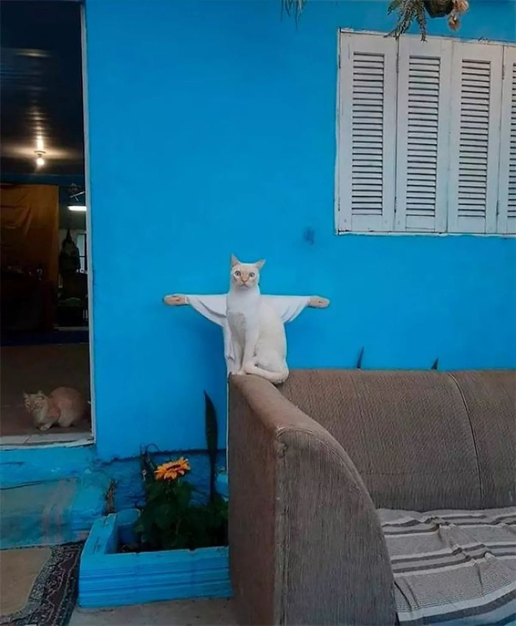 Forrás: Boredpanda