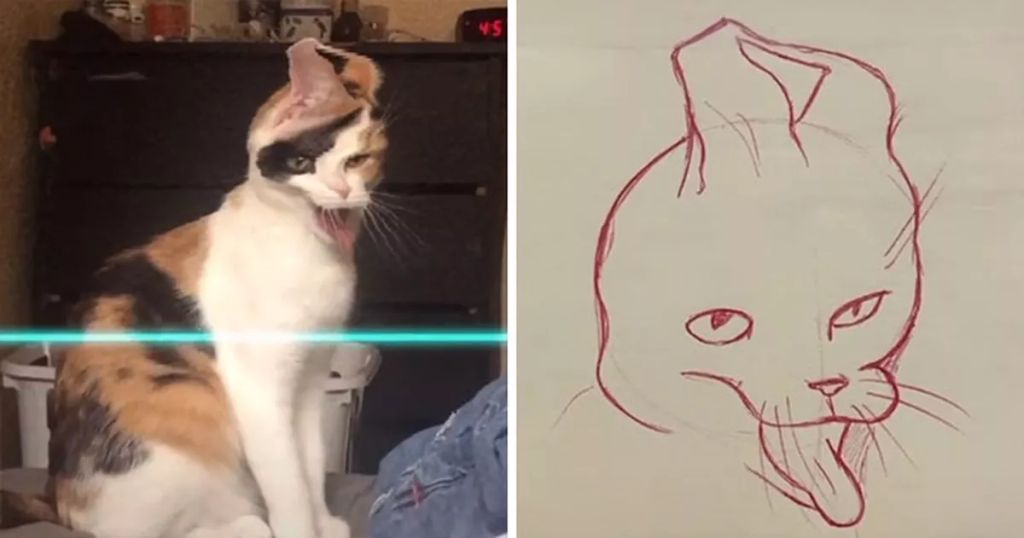 Forrás: Instagram/kittishdraws