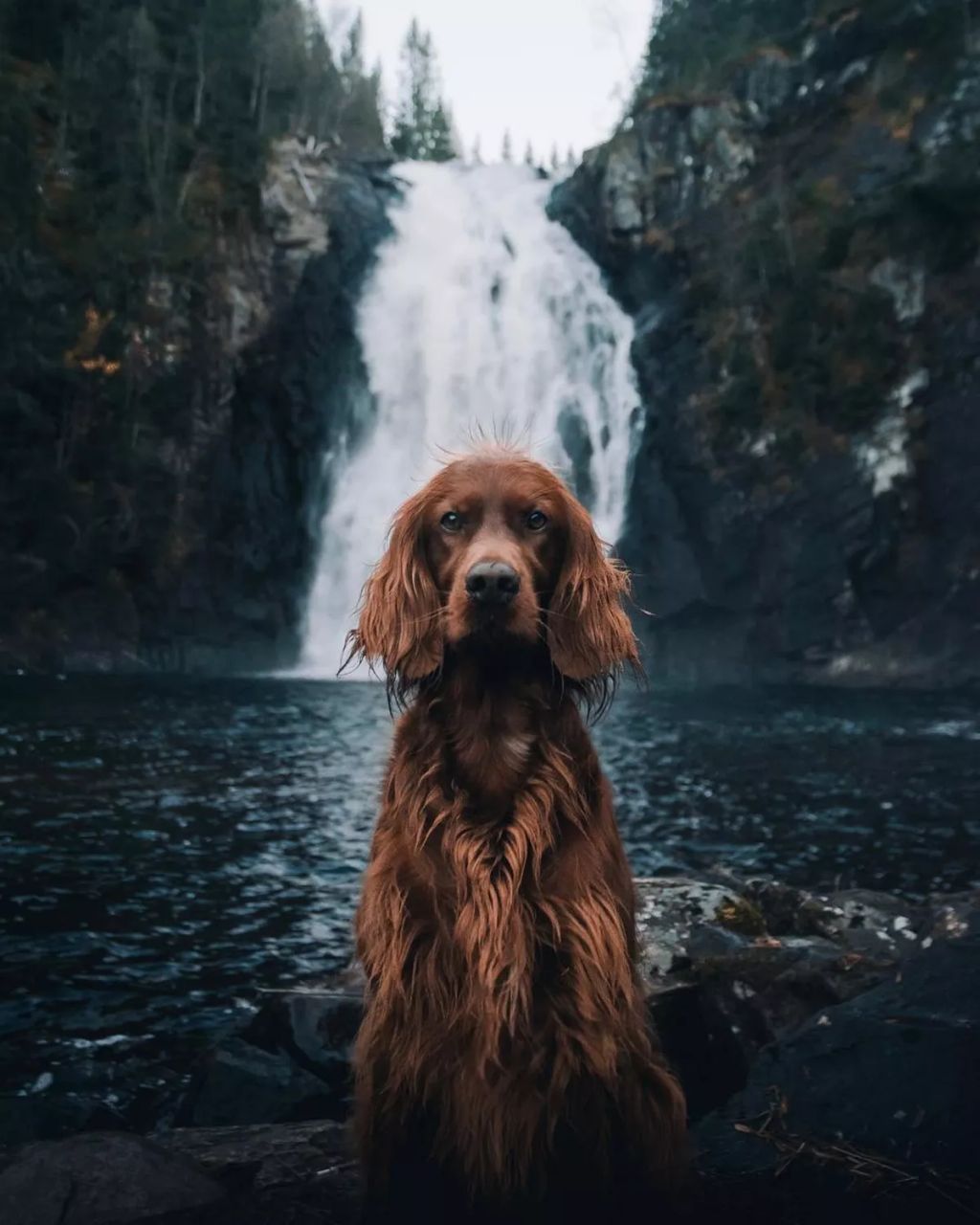 Forrás: Instagram/george_and_troja