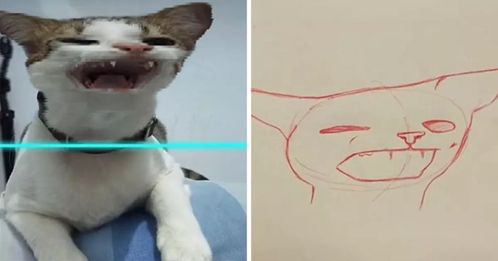 Forrás: Instagram/kittishdraws