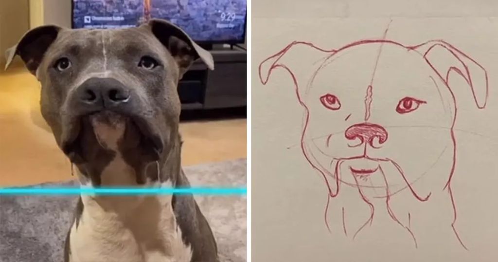 Forrás: Instagram/kittishdraws