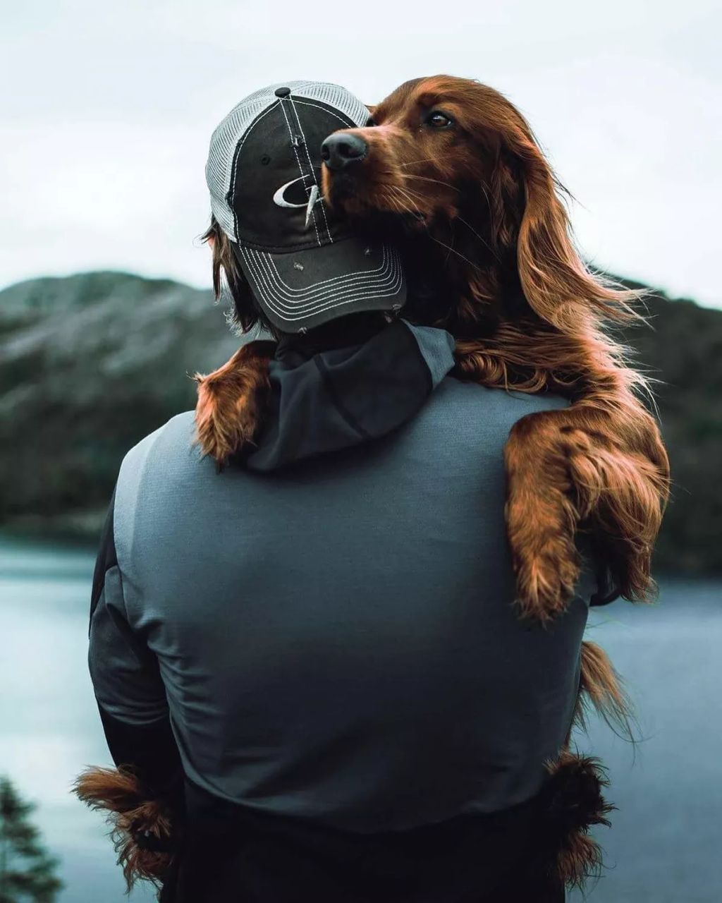 Forrás: Instagram/george_and_troja