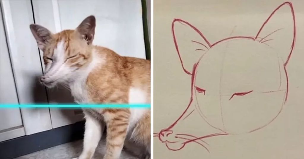 Forrás: Instagram/kittishdraws