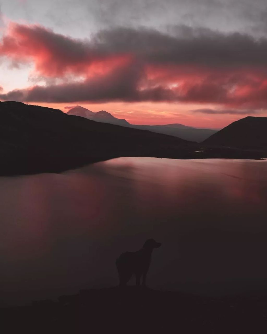 Forrás: Instagram/george_and_troja