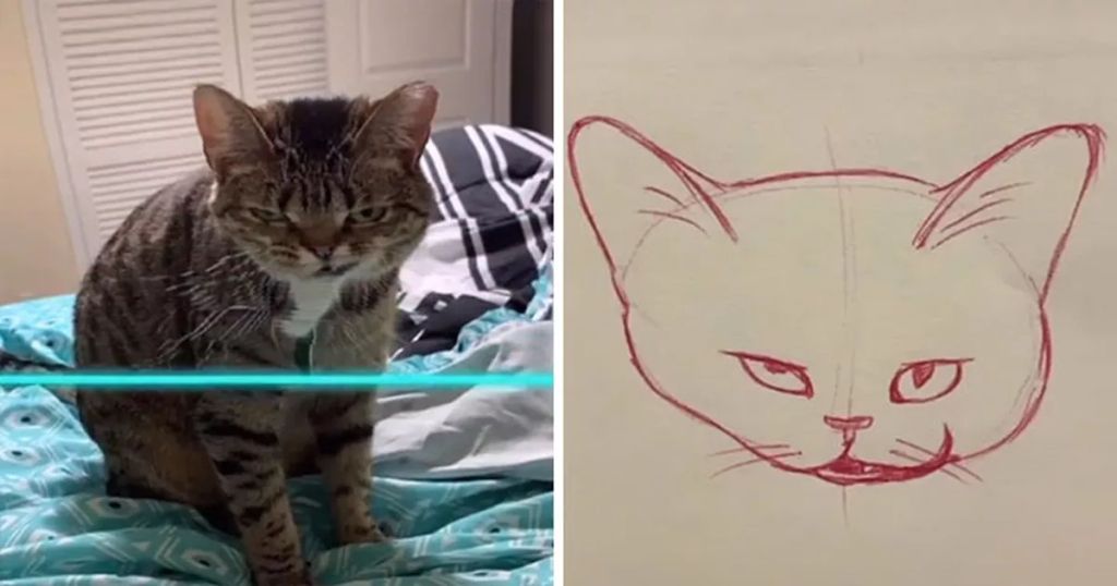 Forrás: Instagram/kittishdraws