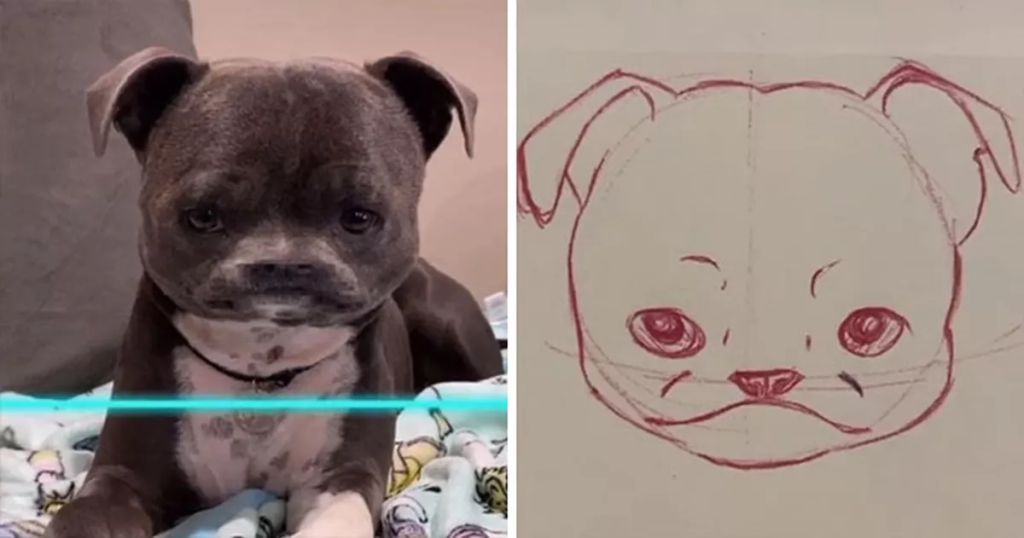 Forrás: Instagram/kittishdraws