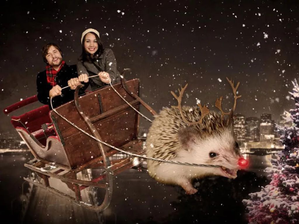 Forrás: awkwardfamilyphotos.com