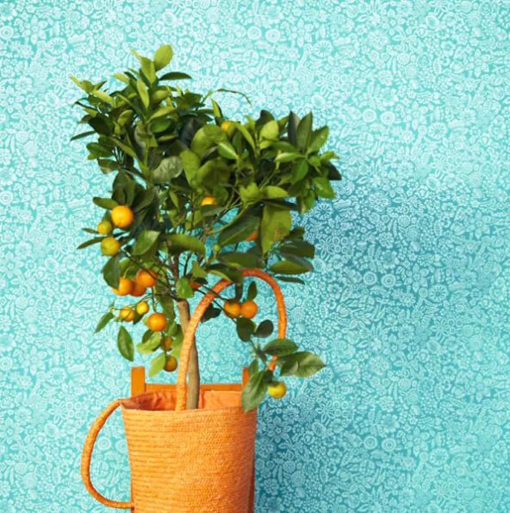 Forrás: homedesignlakberendezes.com