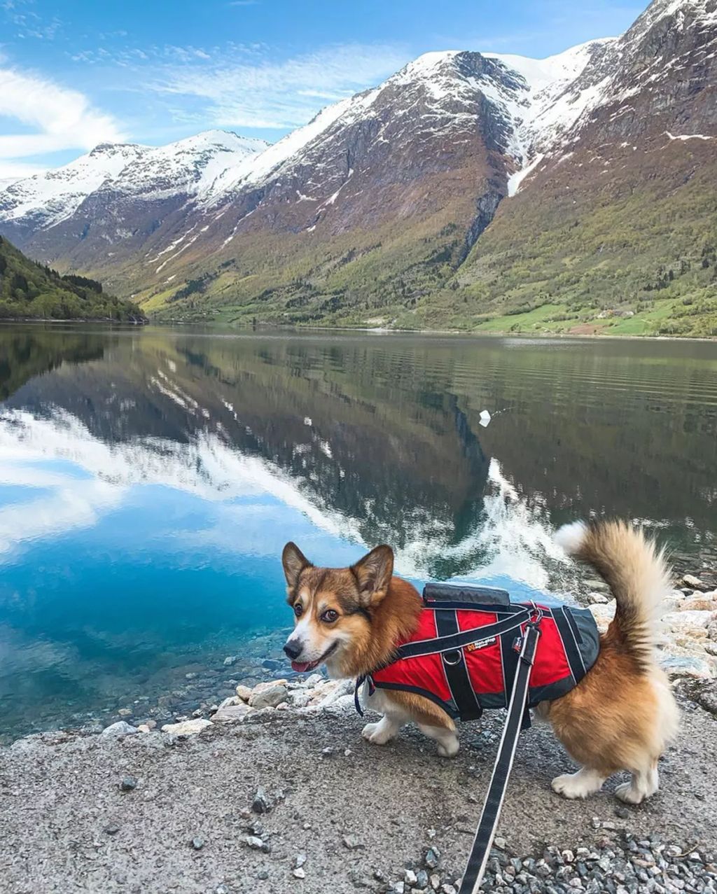 Forrás: Instagram/Louie & Figo