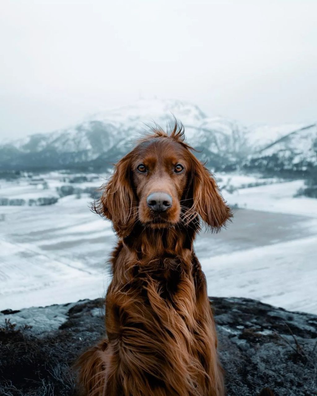Forrás: Instagram/george_and_troja