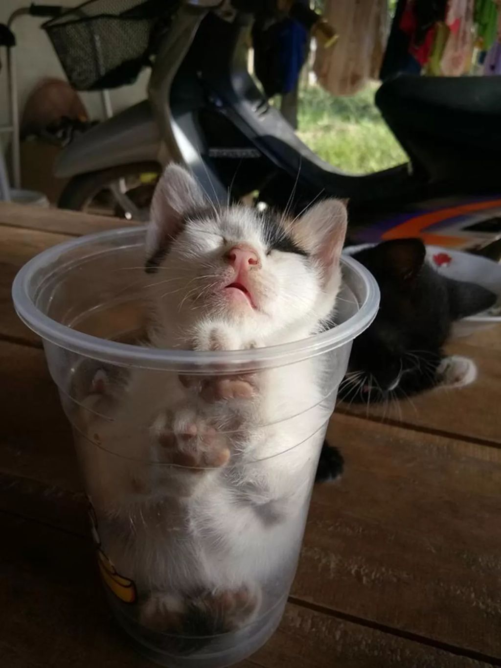 Forrás: Imgur