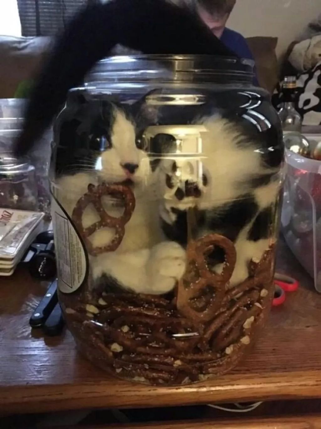 Forrás: Boredpanda