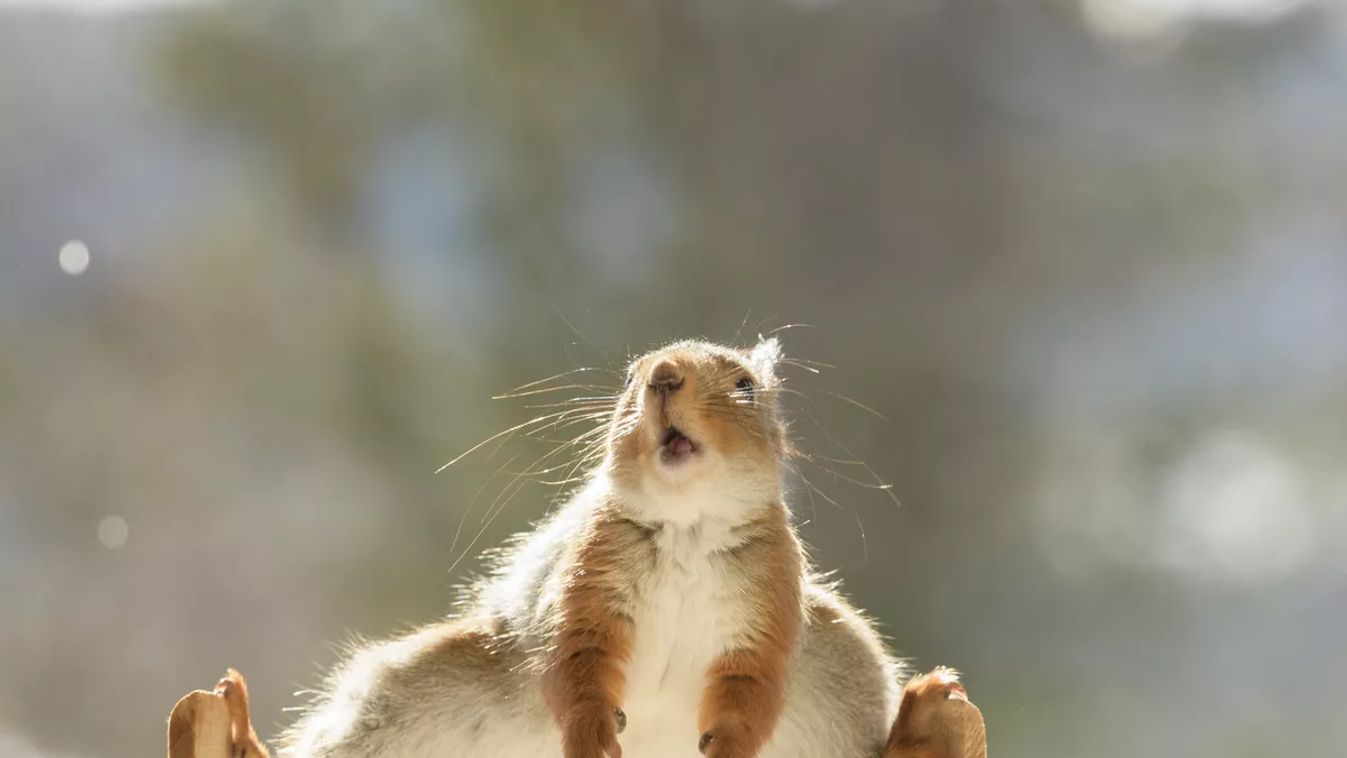 Forrás: NORTHFOTO/© Geert Weggen / SWNS.com/Geert Weggen / Swns.Com