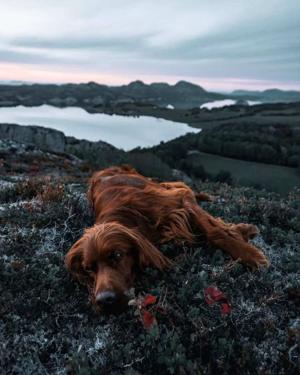 Forrás: Instagram/george_and_troja