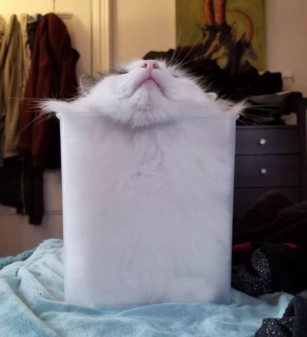 Forrás: Boredpanda