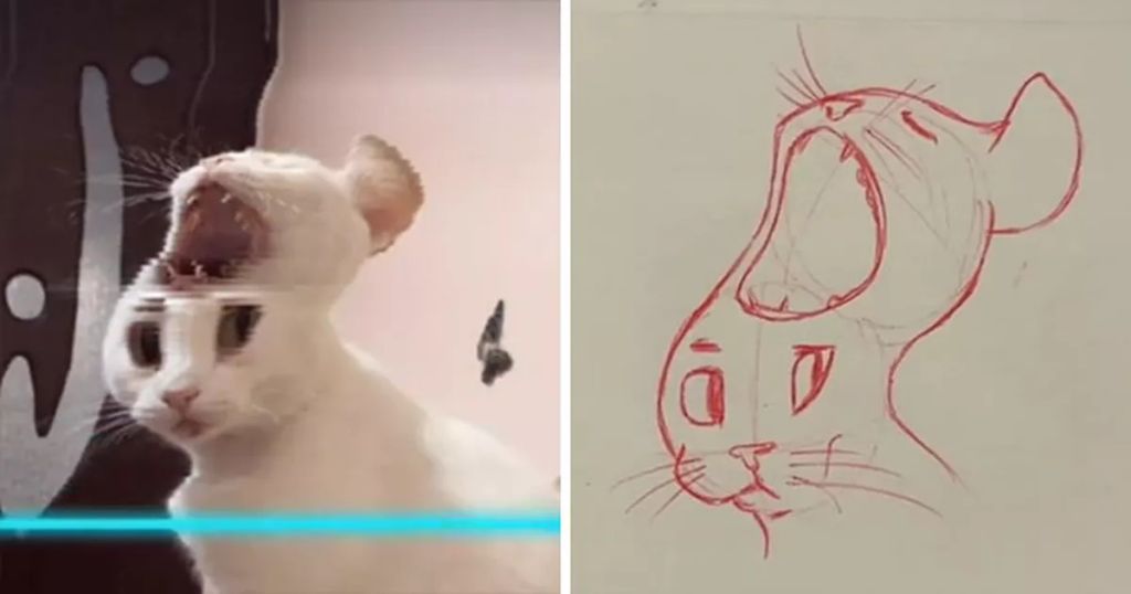 Forrás: Instagram/kittishdraws