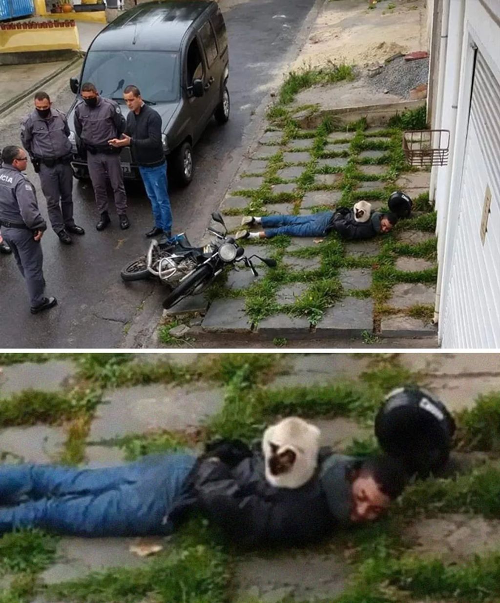Forrás: Boredpanda