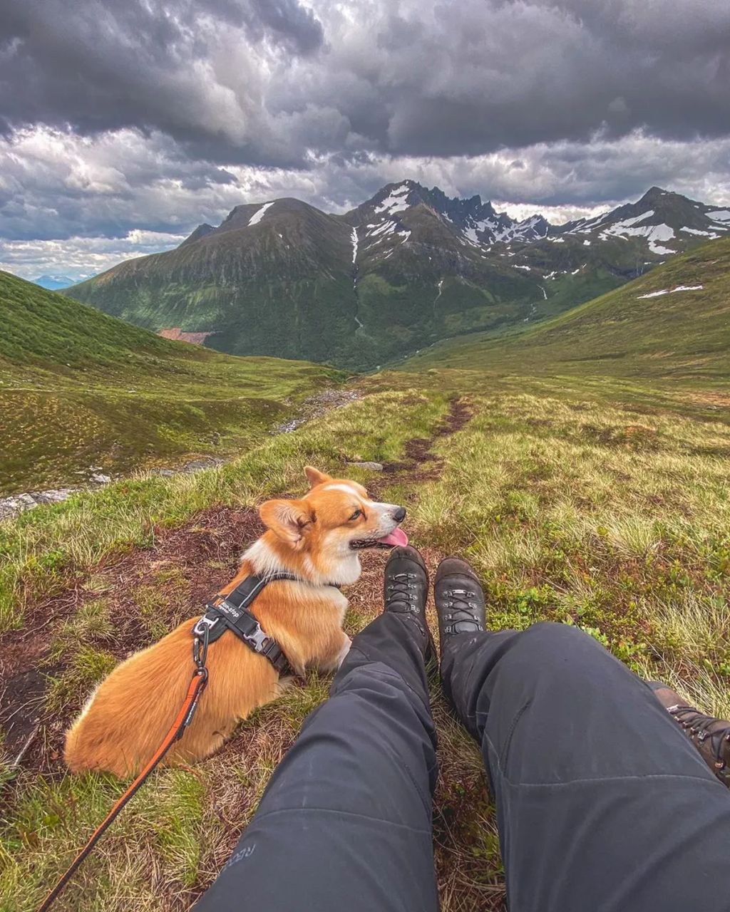 Forrás: Instagram/Louie & Figo