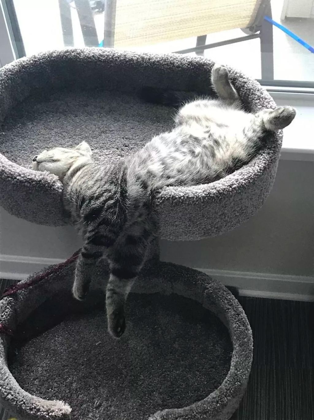 Forrás: Boredpanda