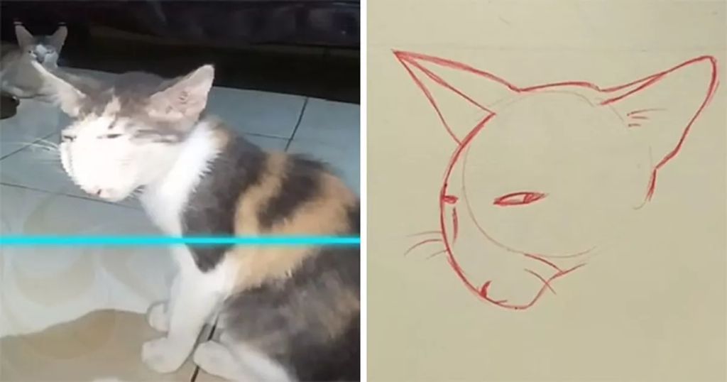 Forrás: Instagram/kittishdraws