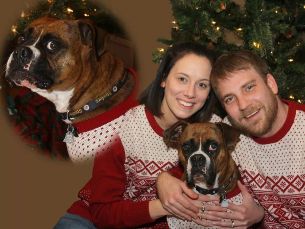 Forrás: awkwardfamilyphotos.com