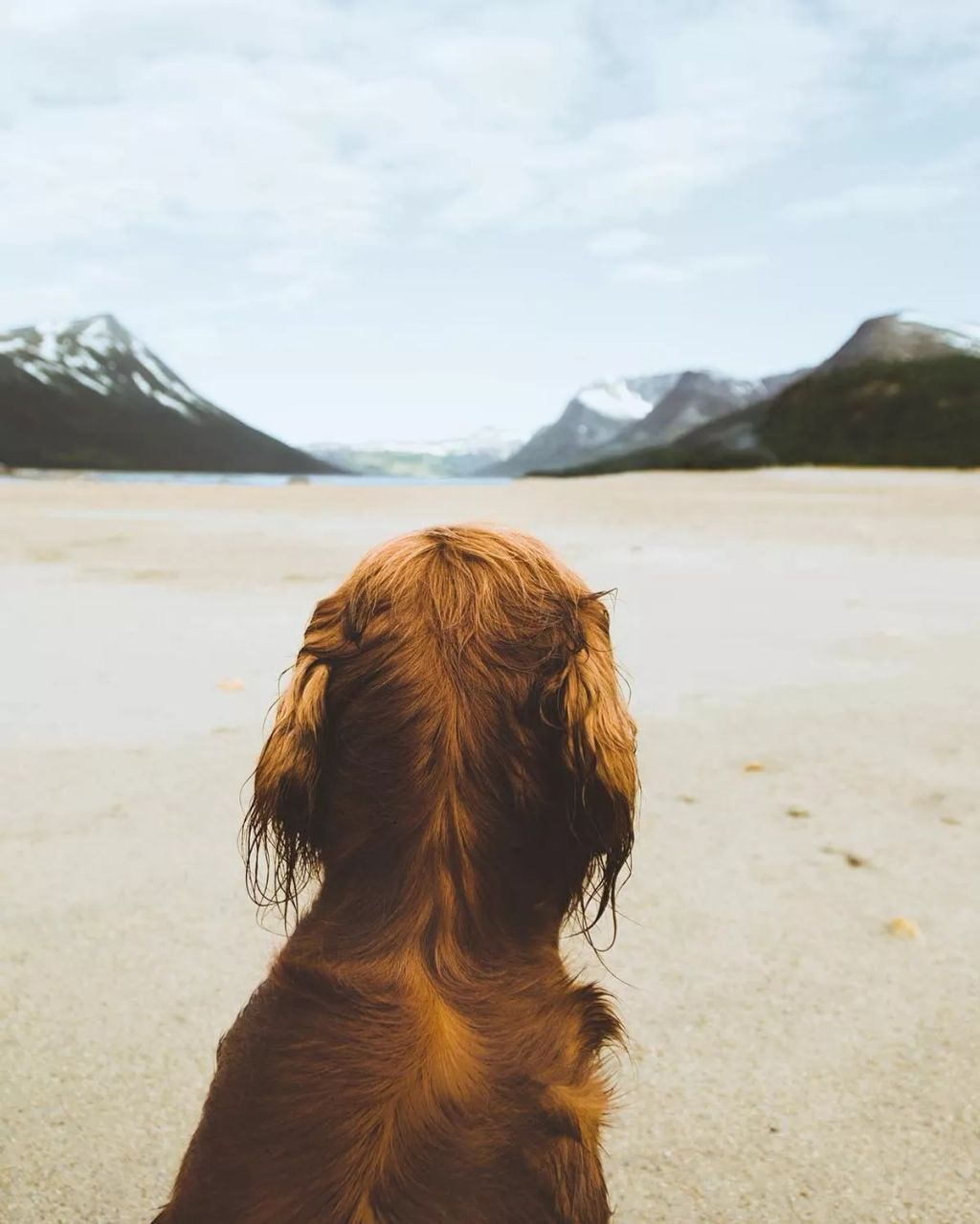 Forrás: Instagram/george_and_troja