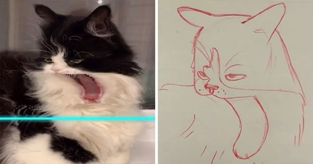 Forrás: Instagram/kittishdraws