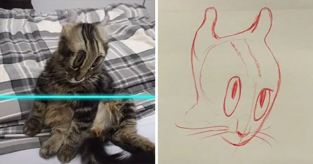 Forrás: Instagram/kittishdraws