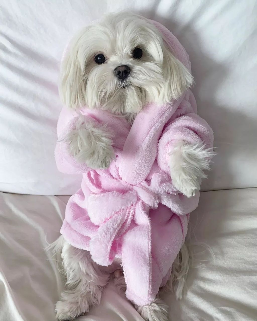 Forrás: Instagram/Coco & Her Sister Cici