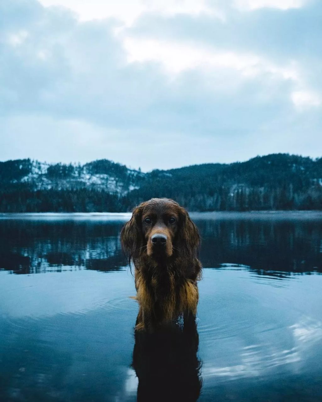Forrás: Instagram/george_and_troja
