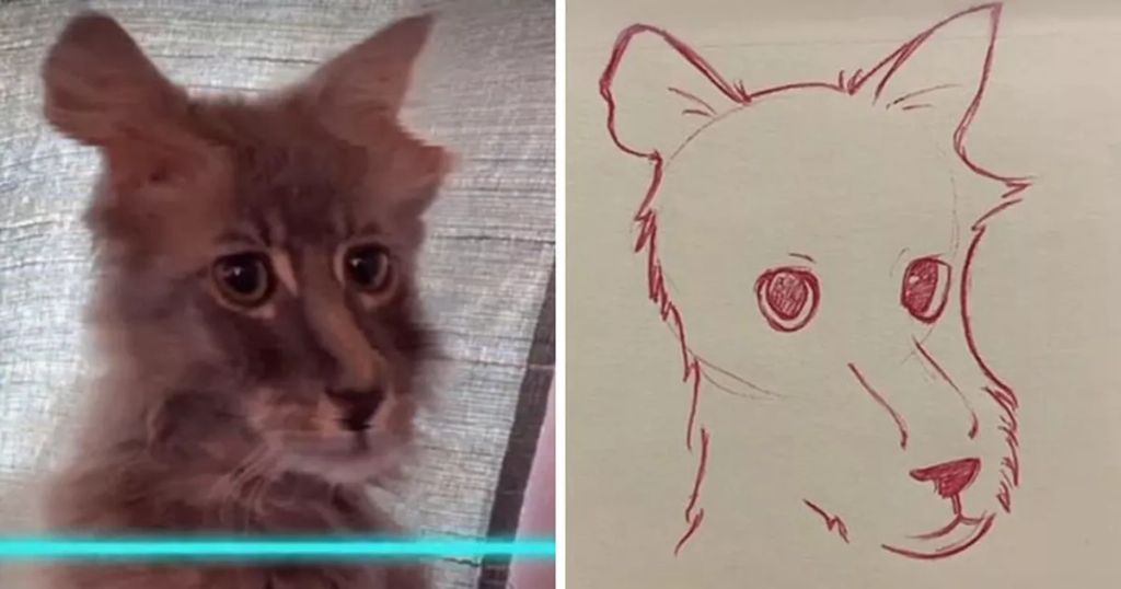 Forrás: Instagram/kittishdraws