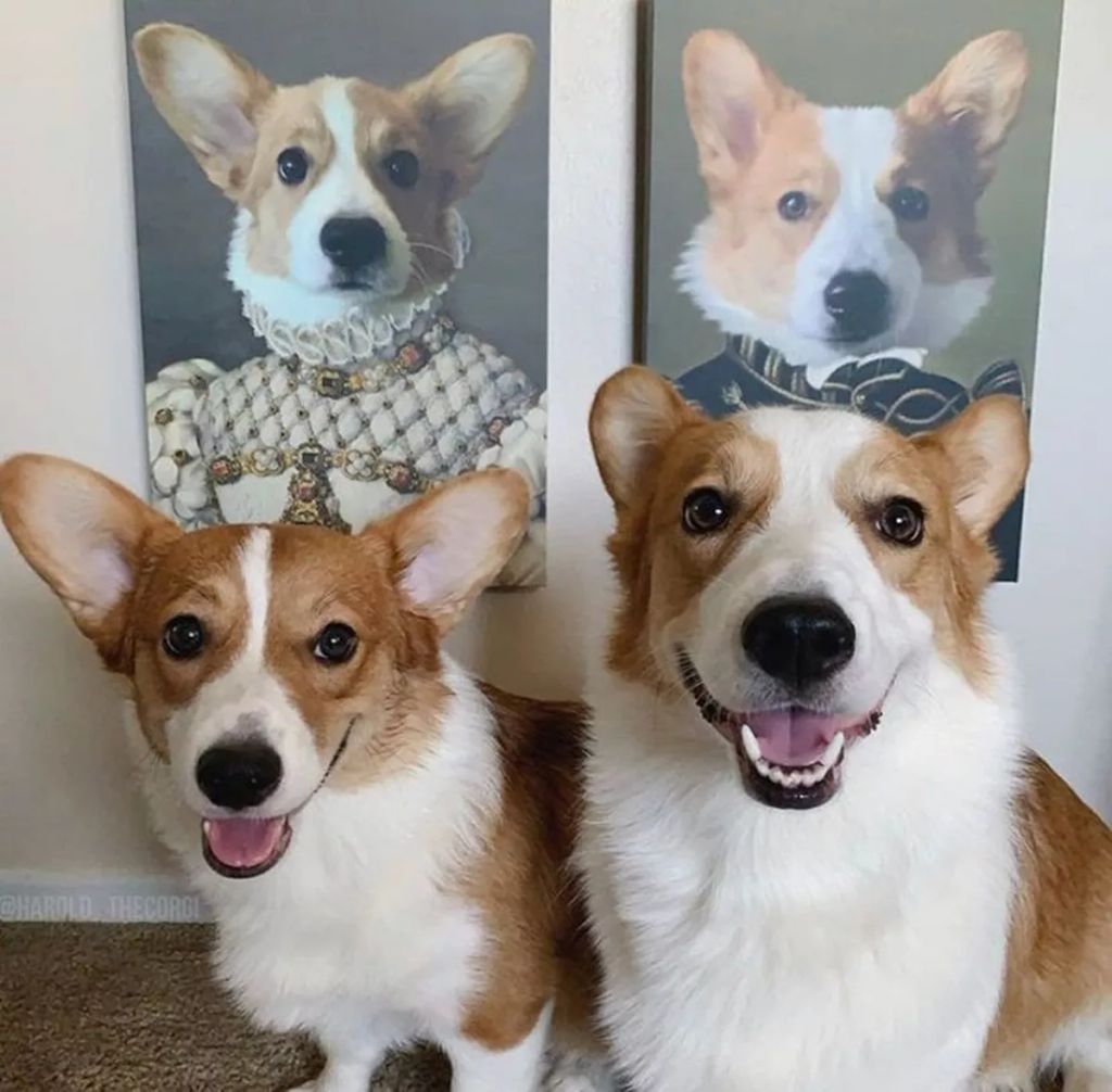 Forrás: Instagram/Crown & Paw
