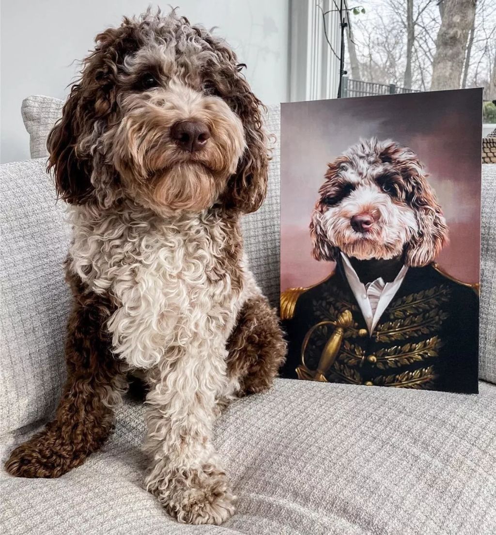 Forrás: Instagram/Crown & Paw