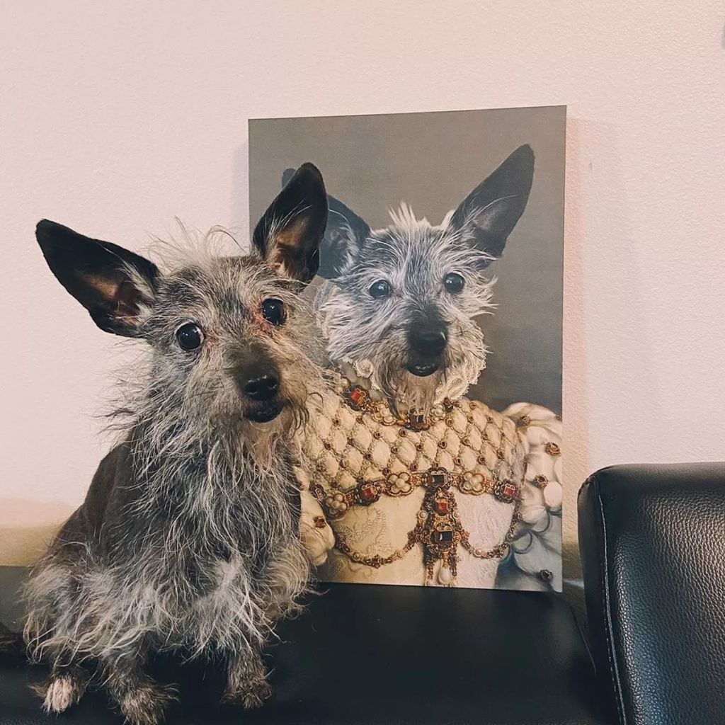 Forrás: Instagram/Crown & Paw