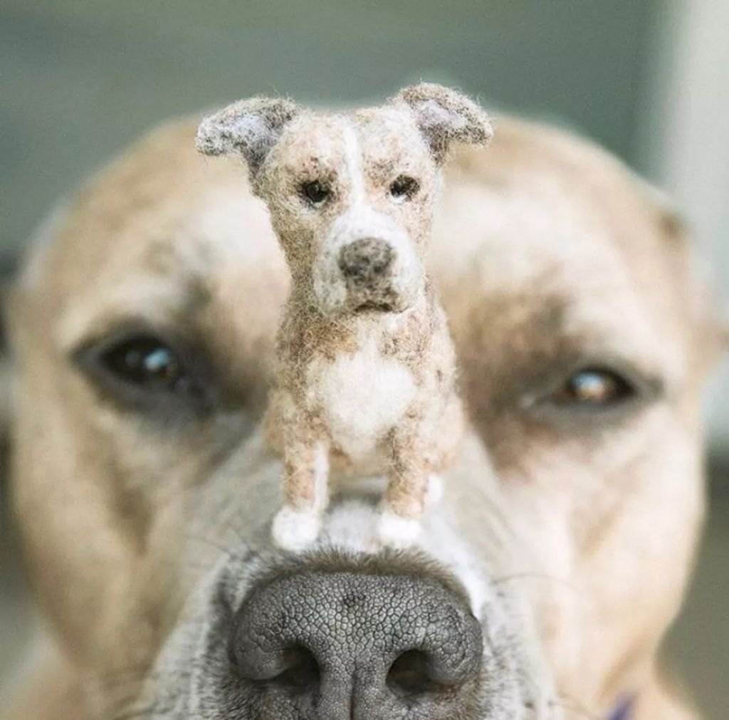 Forrás: Instagram/littlefeltedfriends