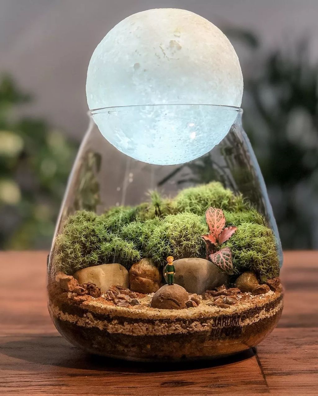 Forrás: Instagram/Jardim no Pote
