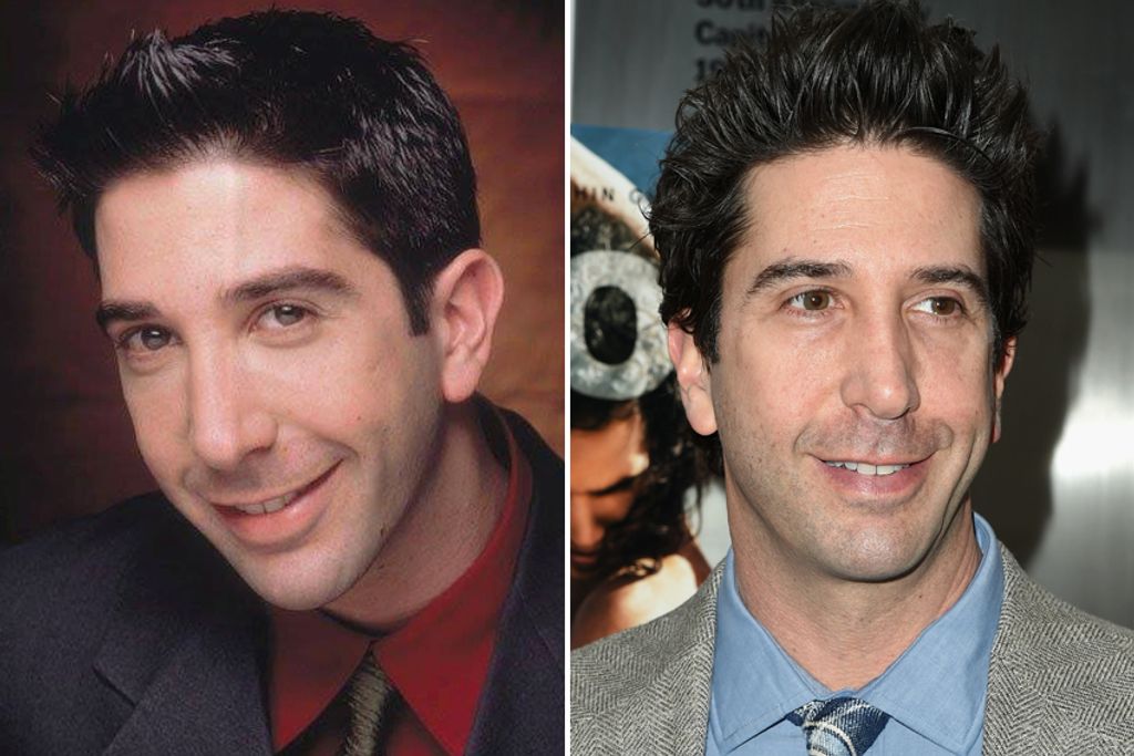 David Schwimmer (Ross Geller)
