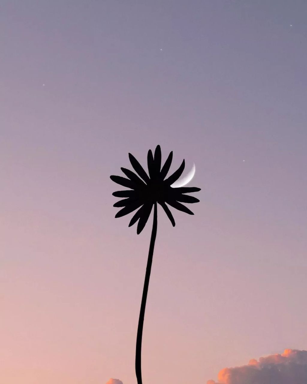 Forrás: Instagram/Lan Nguyen