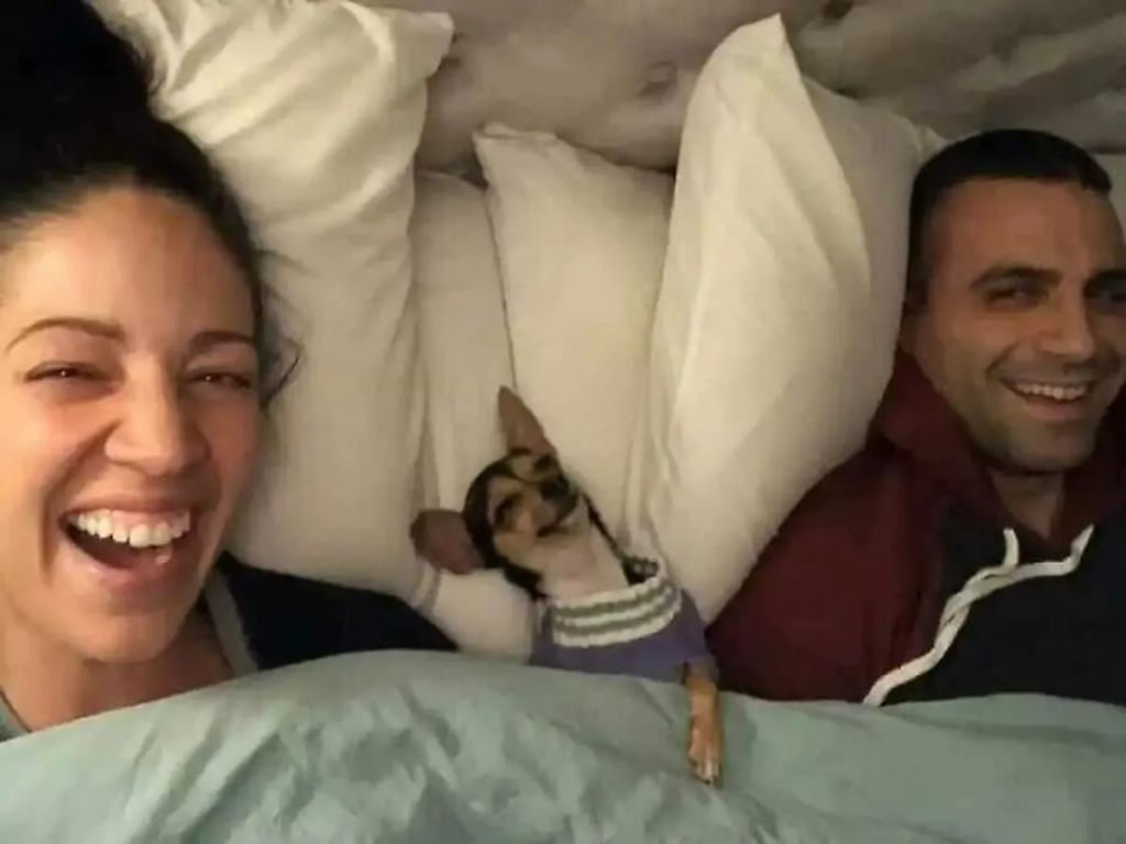 Forrás: Facebook/Important Animal Images