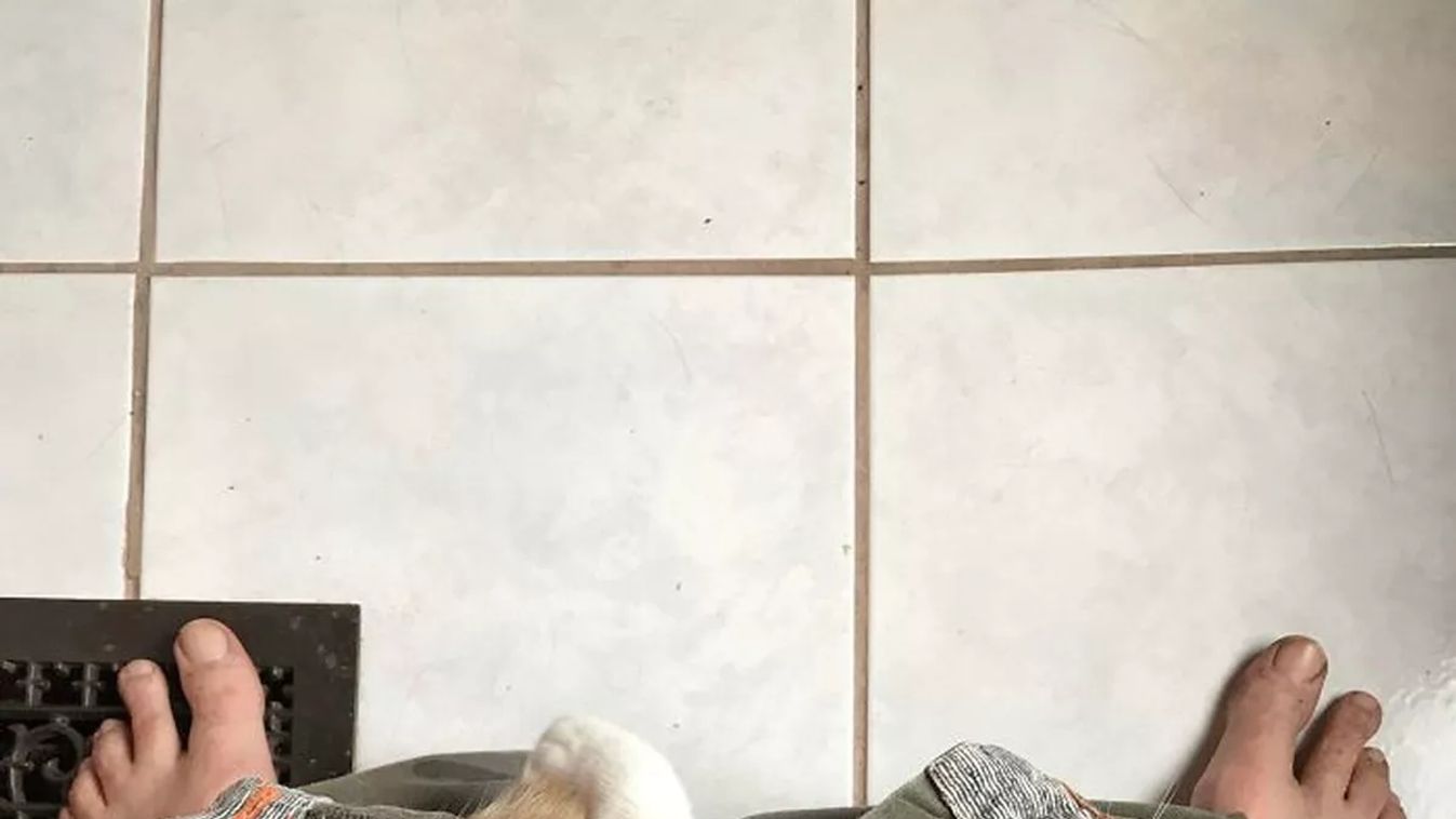 Forrás: Boredpanda