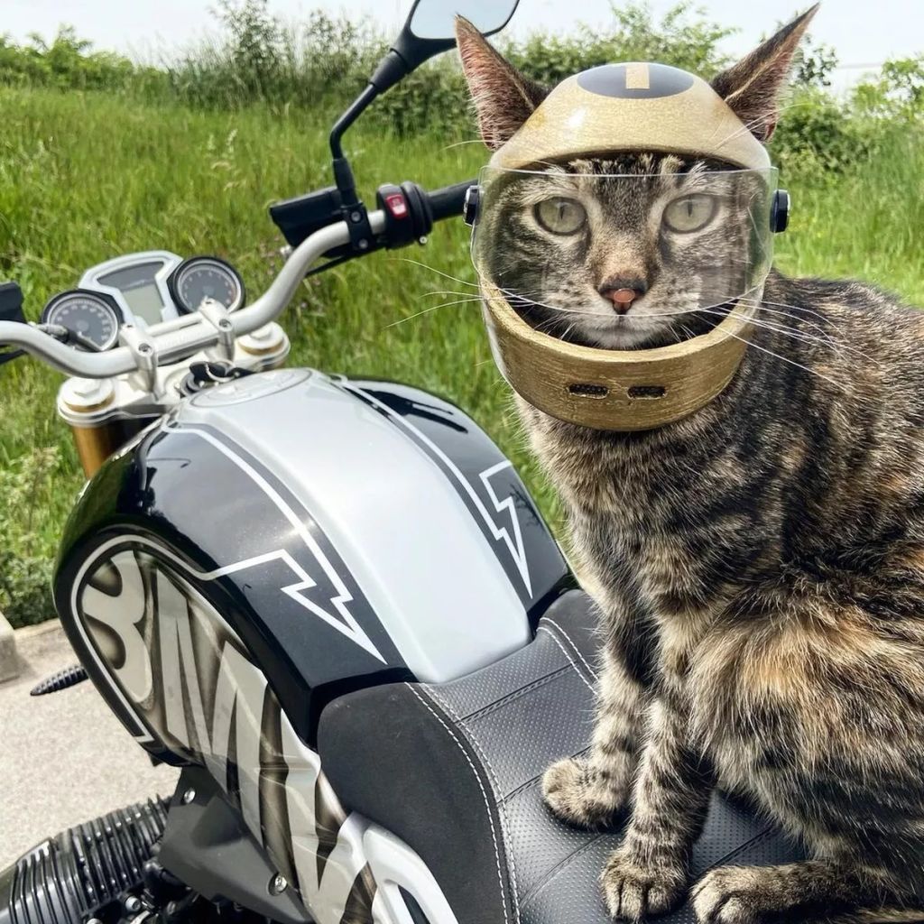 Forrás: Instagram/Cathode & Rémy