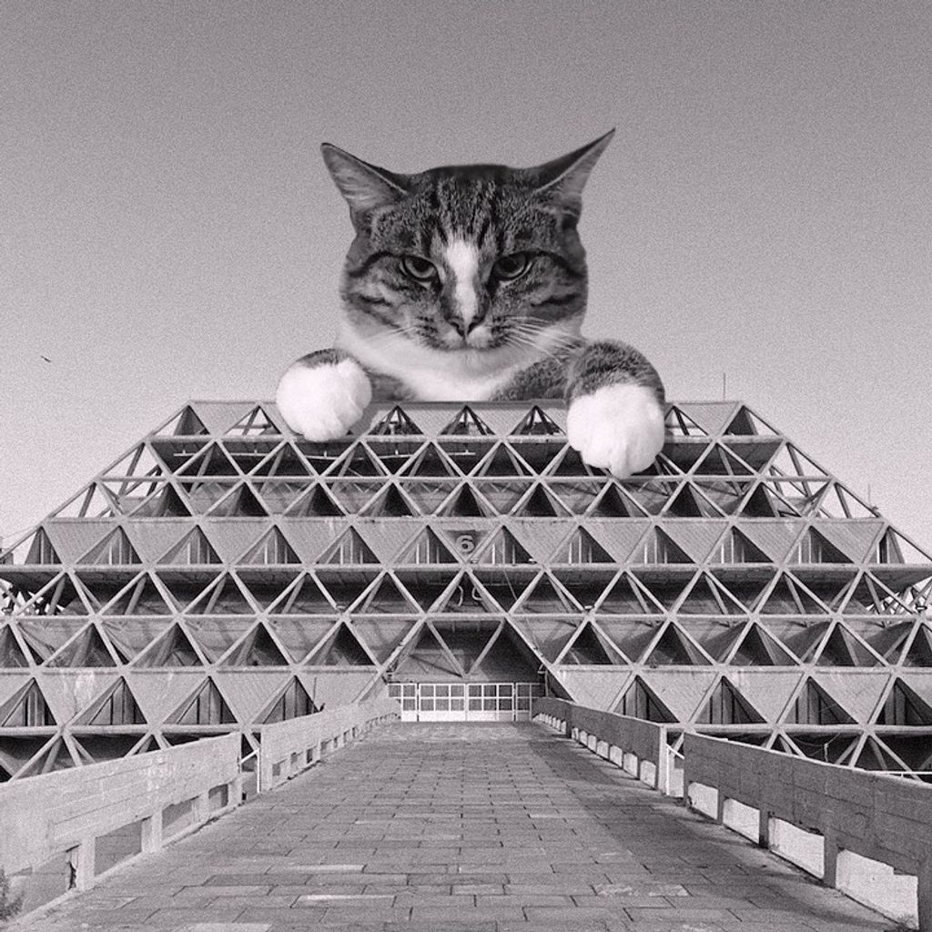 Forrás: Instagram/cats_of_brutalism