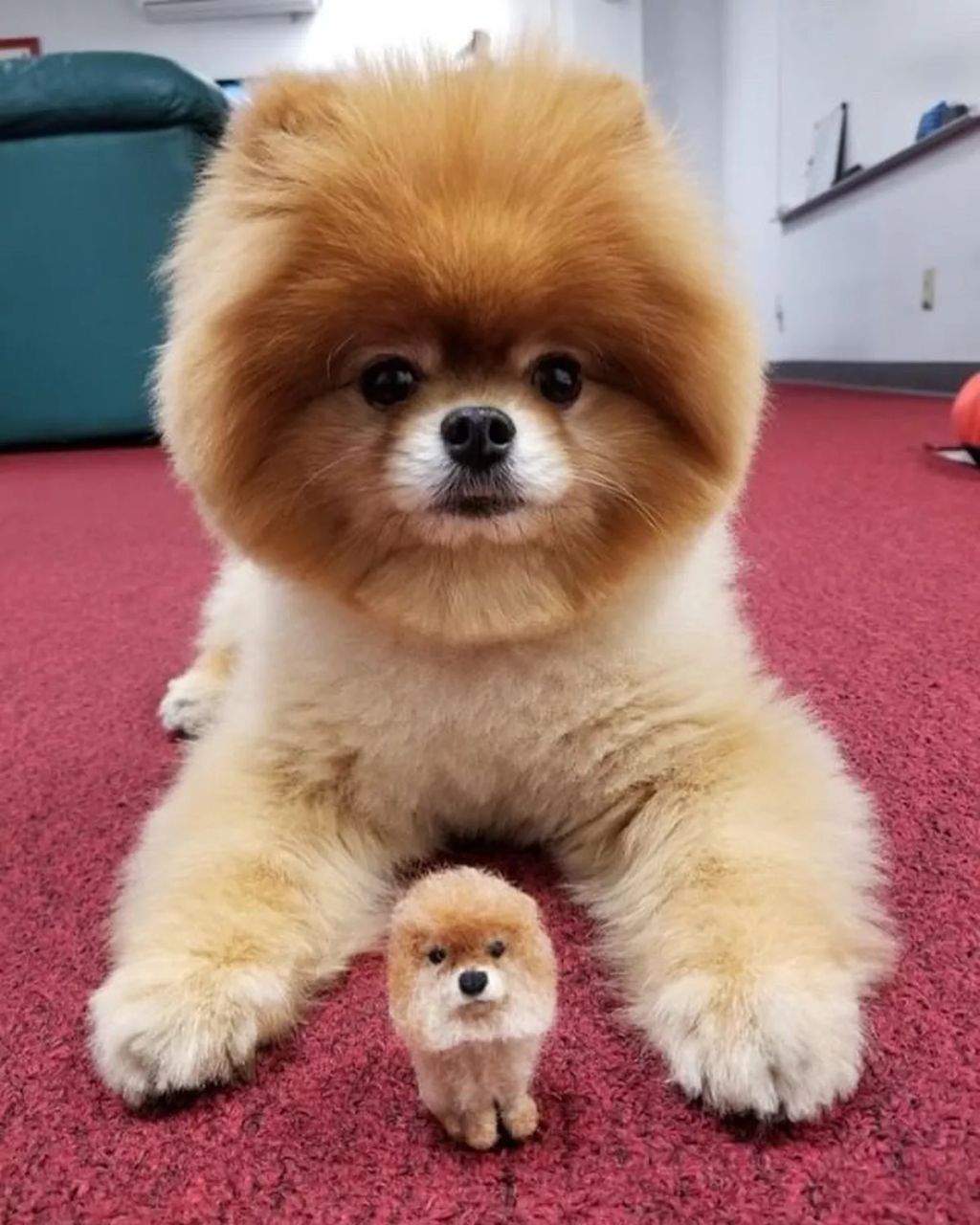 Forrás: Instagram/littlefeltedfriends