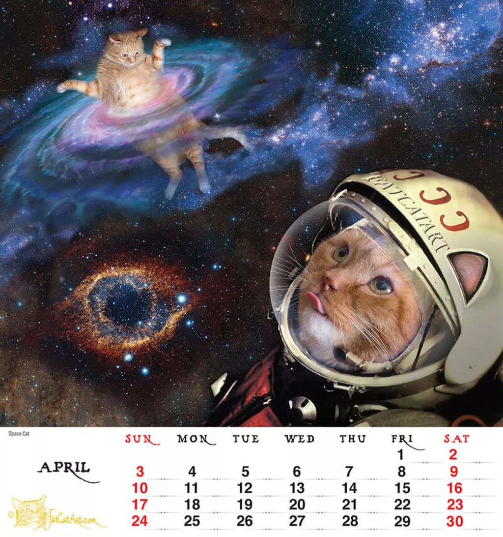 Forrás: shop.fatcatart.com