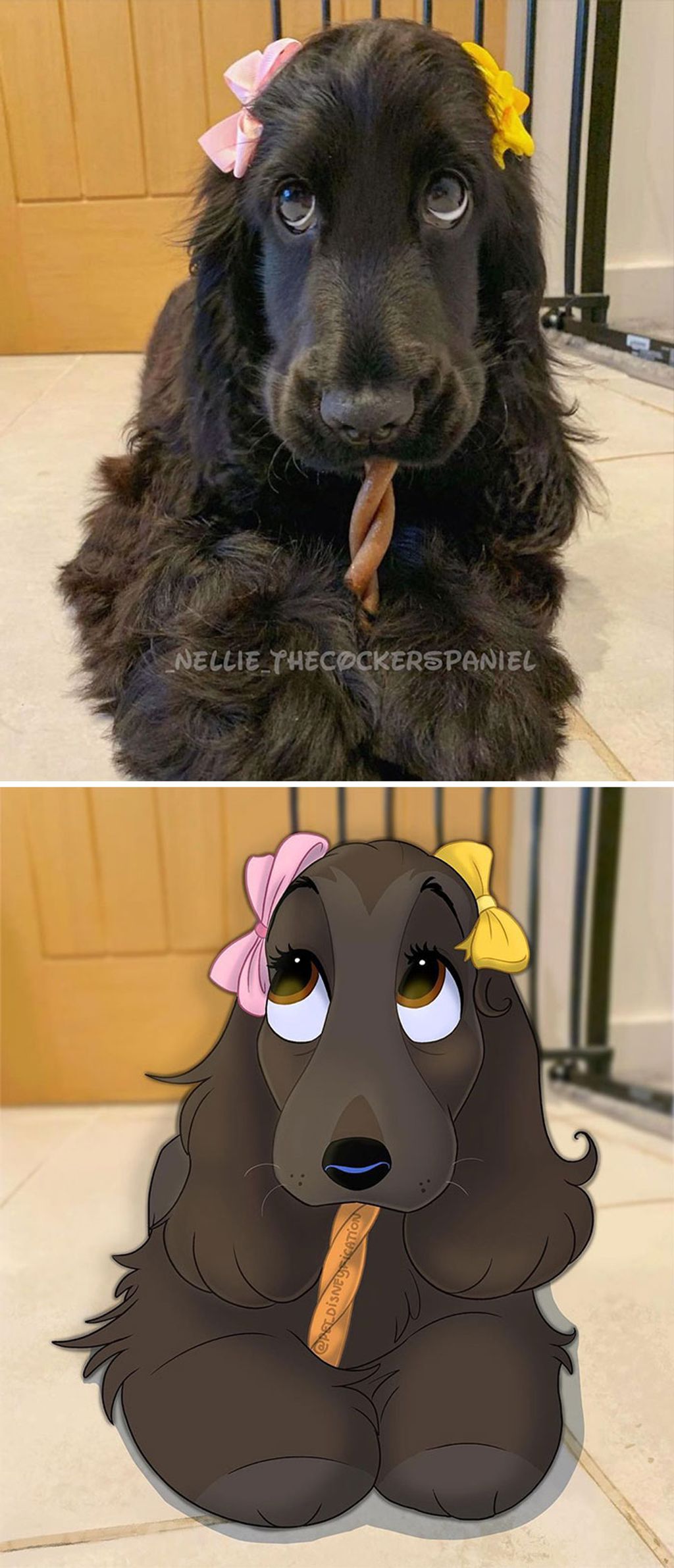 Forrás: Instagram/Pet Disneyfication, Boredpanda