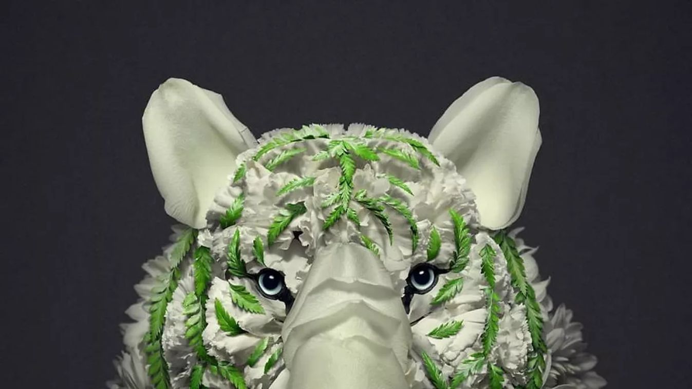 Forrás: reikancreations.com