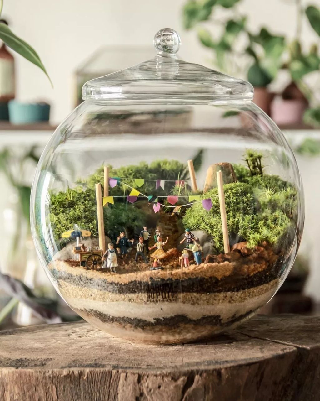 Forrás: Instagram/Jardim no Pote