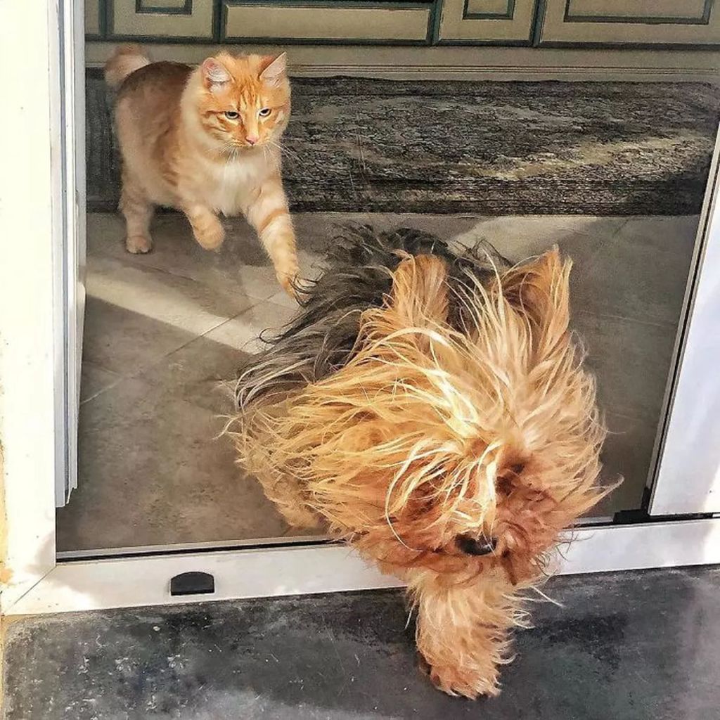 Forrás: Instagram/allekx
