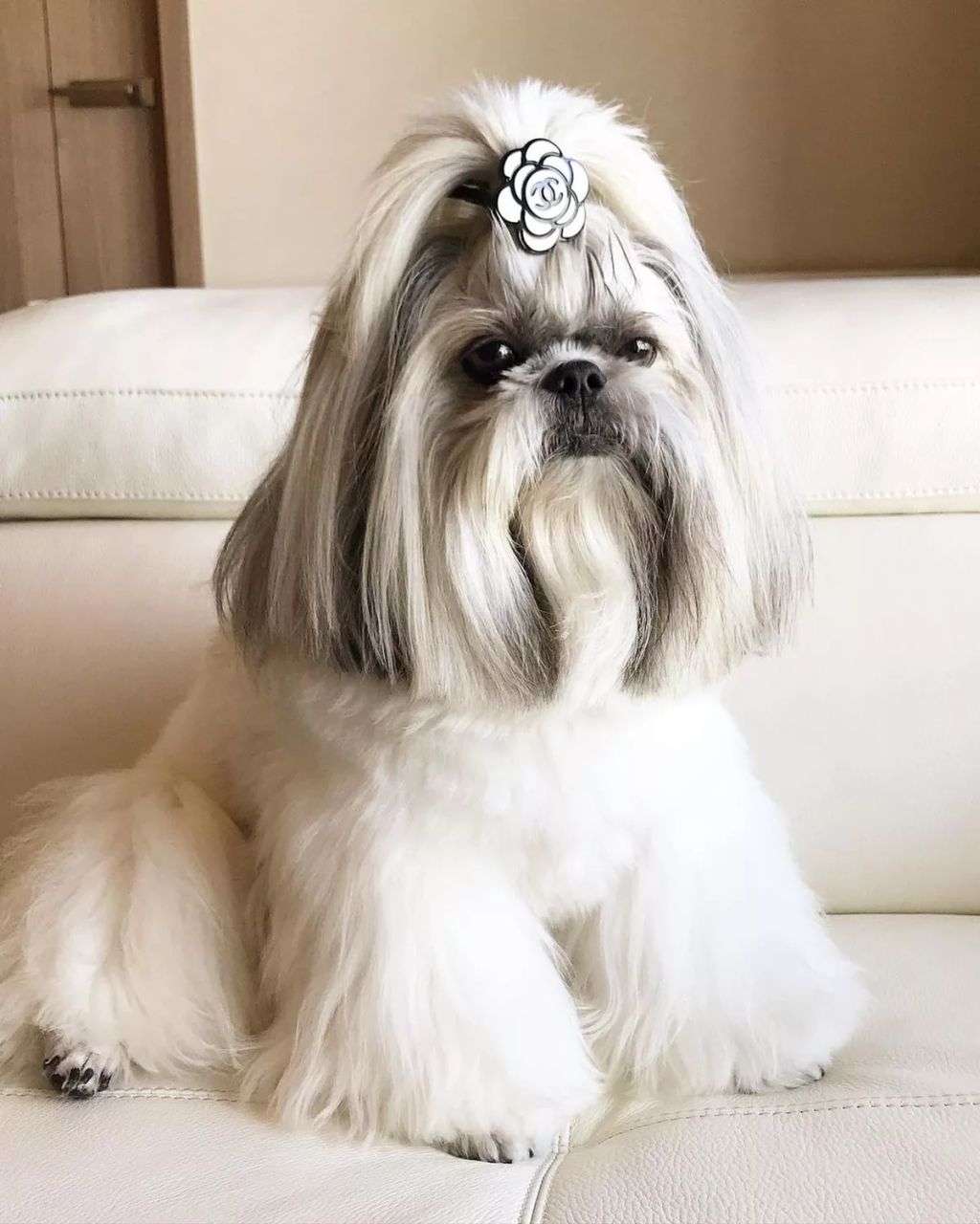 Forrás: Instagram/bonten._.maru