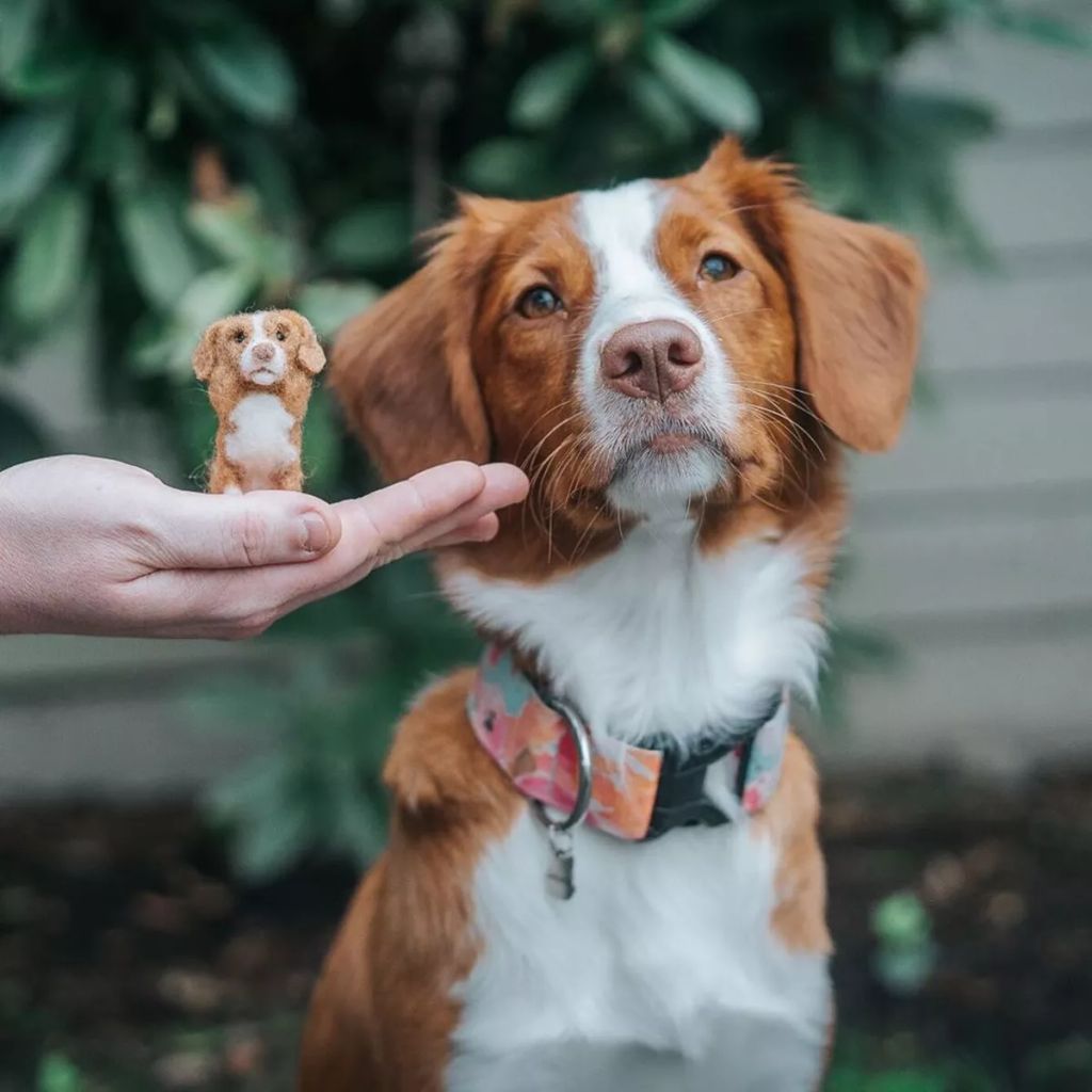 Forrás: Instagram/littlefeltedfriends